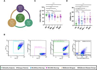 Platelet derived exosomes disrupt endothelial cell monolayer integrity and enhance vascular inflammation in dengue patients